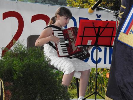 22. občinski praznik in dan državnosti proslavili svečano, umirjeno in dostojanstveno 6